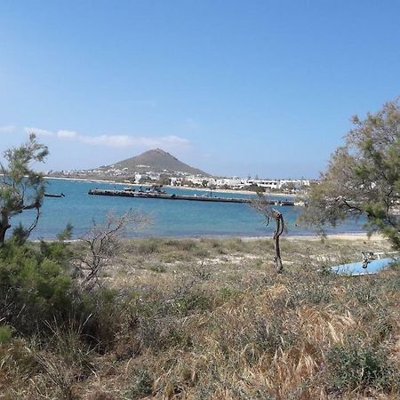 Naxos City Chez Irene Sweet Pension מראה חיצוני תמונה