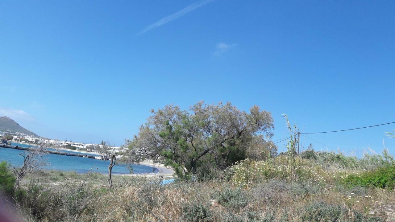 Naxos City Chez Irene Sweet Pension מראה חיצוני תמונה